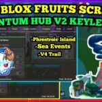 Quantum Hub V2 New Keyless Blox Fruit Script Work On All Executor – Checkpoint